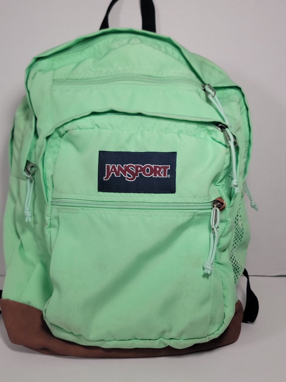 JanSport Mint Green and Brown Everyday Backpack